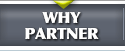 Why Partner